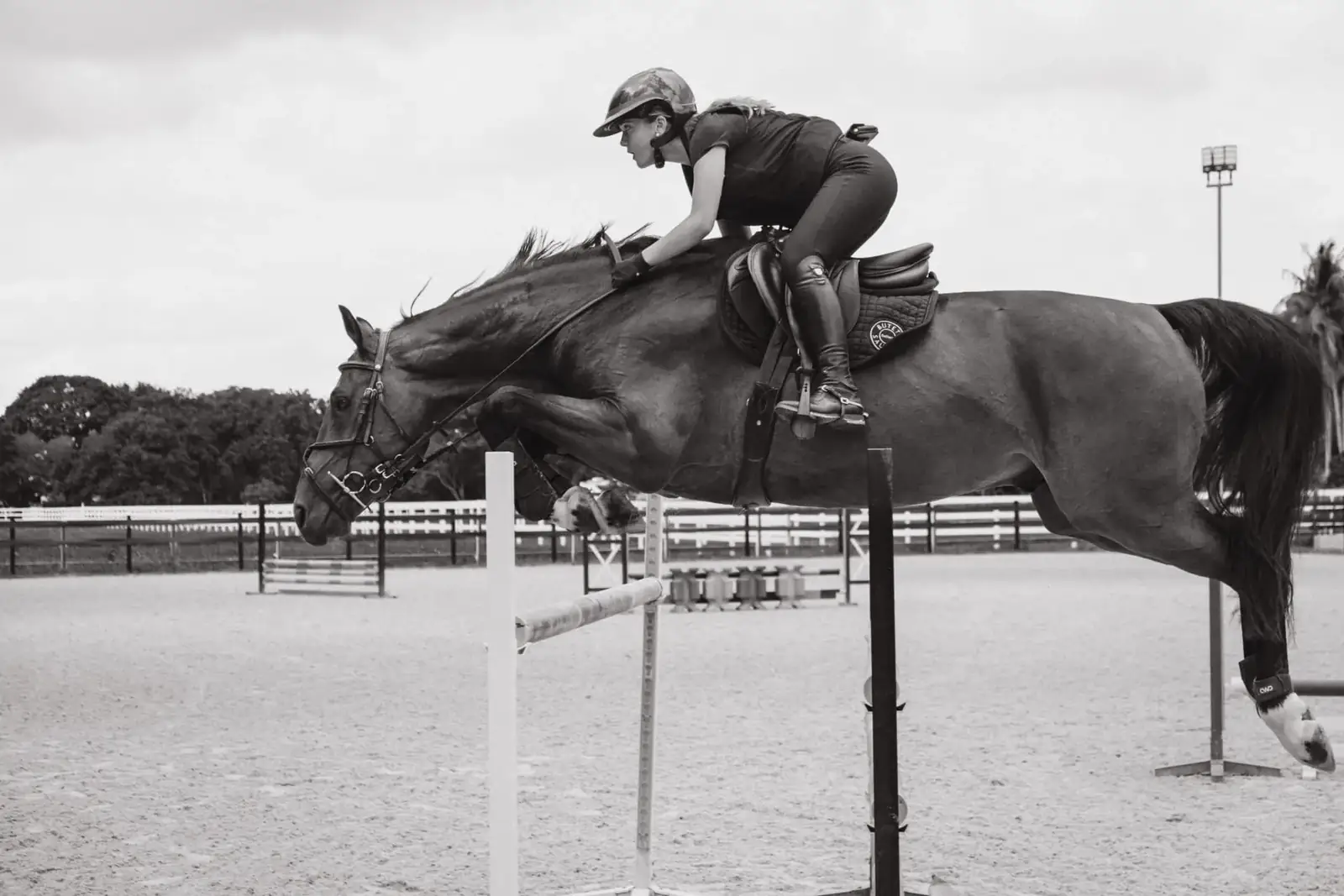 L'Écurie Equestrian Club stables
